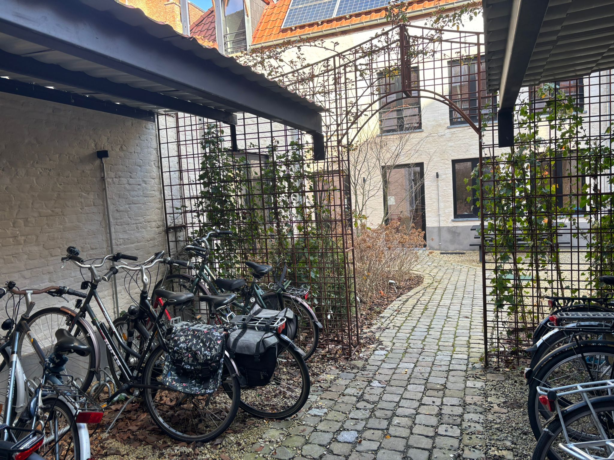 Website
