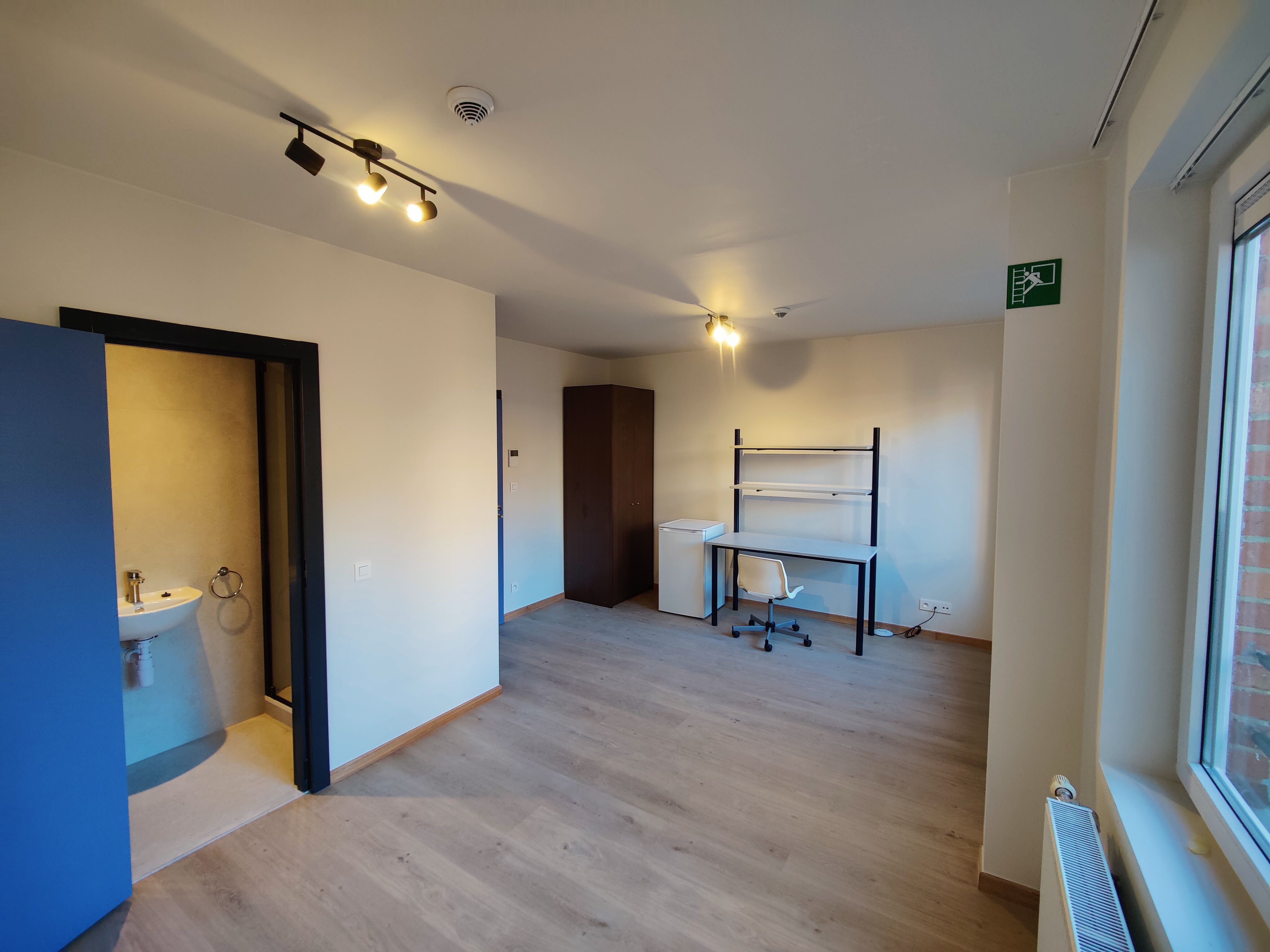 Website