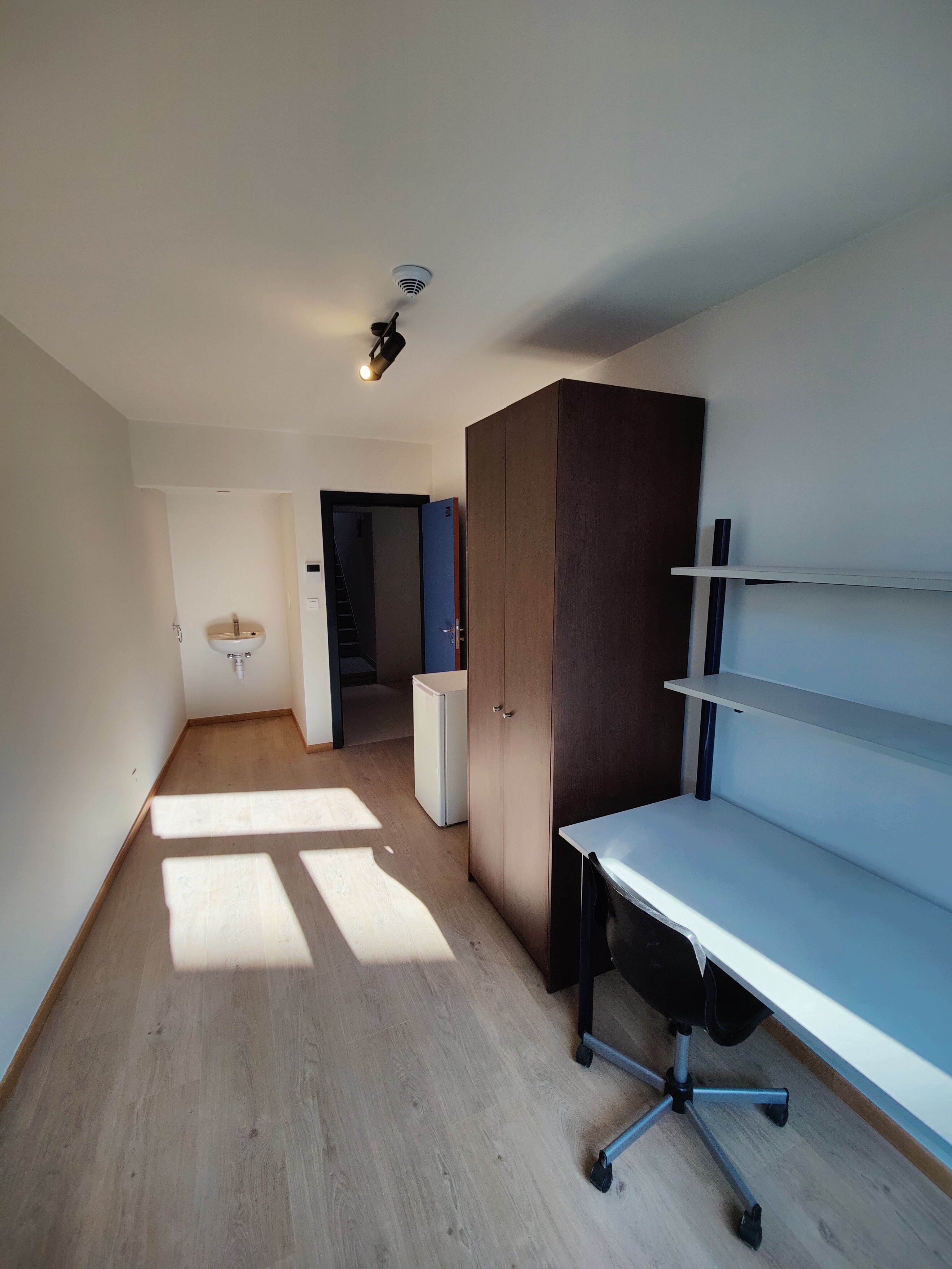 Website